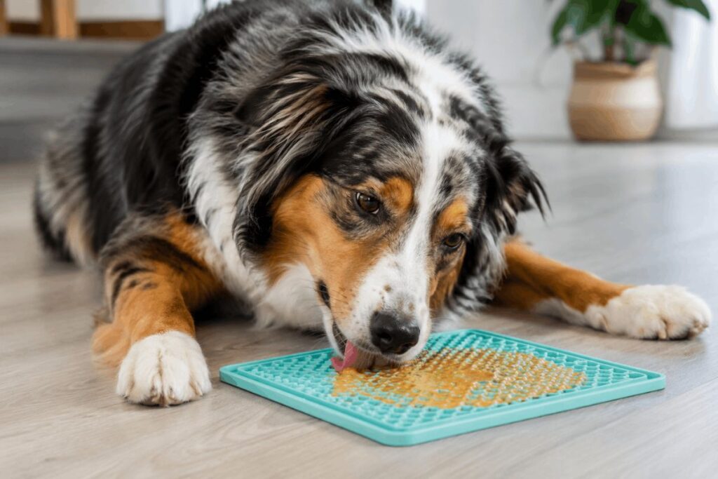 dog using licking mat for calming