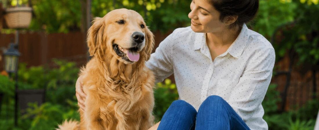 Dog Vagus Nerve Reset: 7 Calming Techniques That Actually Work